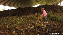 Bild 4 // Kompostieren auf Bali, Indonesien
Fabrikarbeiterin bei der Kompostierung.
+++ myclimate +++
// Schlagworte: Globalideas, coolklima, Kompostierung, Kompost

