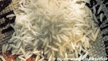 برنج باسماتی وارداتی از هند نیز مشکوک به آلودگی است