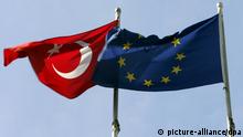 Turkish and EU flags