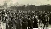 This picture released by Yad Vashem Photo Archives shows the arrival and processing of an entire transport of Jews from Carpatho-Ruthenia, a region annexed in 1939 to Hungary from Czechoslovakia, at Auschwitz-Birkenau, Poland in May 1944
