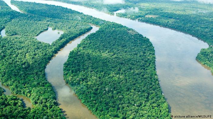 Amazonas Regenwald Amazonien Amazonasregenmal Dschungel Fluss