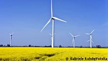 Symbolbild zum Thema Nachhaltigkeit und Natur, hier zu sehen: Rapsfelder und Windpark.#32163680 © Gabriele Rohde - Fotolia.com

