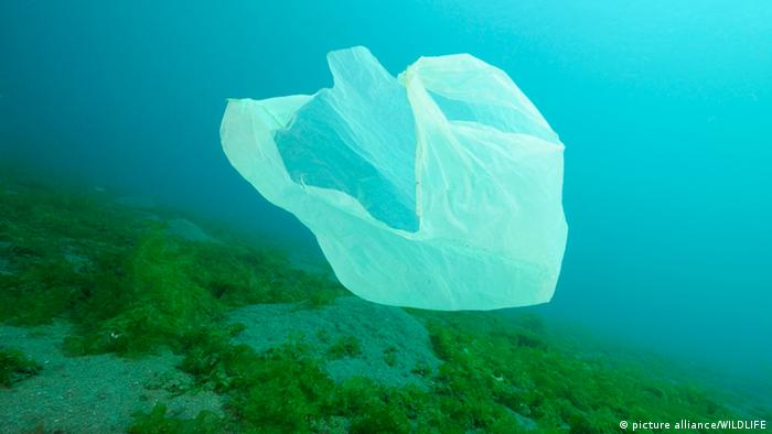 Las bolsas de plástico ponen en peligro el ecosistema marino.