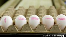 У Німеччині виробники зобов´язані маркувати яйця, відповідно до умов утримання курей