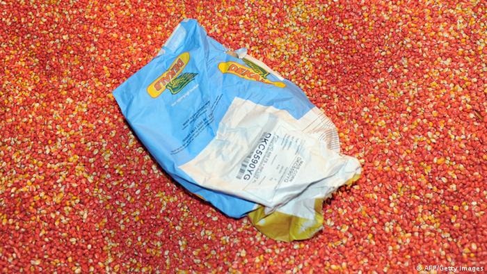 A bag containing 'MON 810', a variety of genetically modified corn ERIC CABANIS/AFP/Getty Images) 