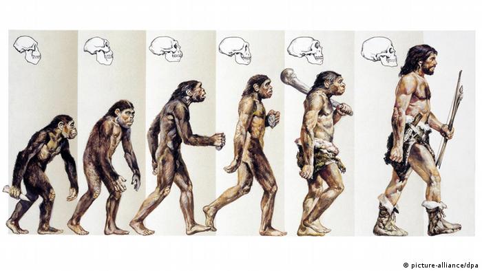 Эволюция - от обезьяны к человеку