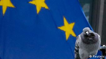 A pigeon perching near a European Union flag in Brussels September 13, 2012
(Photo: REUTERS/Francois Lenoir)