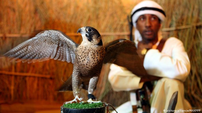An Emirati hunter poses with a falcon in Dubai, May 7, 2009. Falcon hunting is a popular hobby for Emiratis. Photo: MilagroPress/TOROMORO/MAXPPP +++(c) dpa - Report+++
