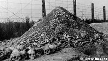 LUBLIN, POLAND: A pile of human bones and skulls is seen in 1944 at the Nazi concentration camp of Majdanek in the outskirts of Lublin, the second largest 