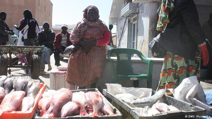 تخوض نساء موريتانيات غمار مهنة الصيد البحري بملحمية و تفرضن منافسة قوية على الرجال. 0,,16487494_401,00