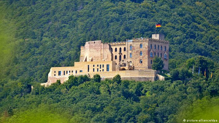 Хамбахский замок - Hambacher Schloss