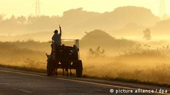A peasant with his ox cart working in the western town of Pinar del Rio, Cuba Copyright: ALEJANDRO ERNESTO/EPA/DPA
