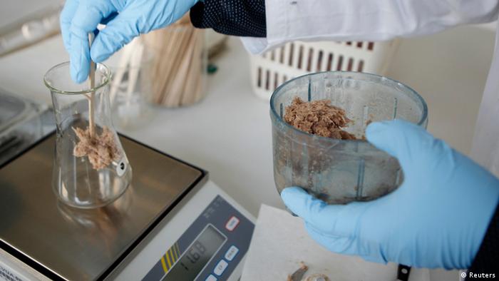 Minced meat is prepared for weighing at a laboratory of the federal state of North Rhine-Westphalia's food control institute in the western city of Krefeld February 13, 2013. REUTERS/Ina Fassbender 