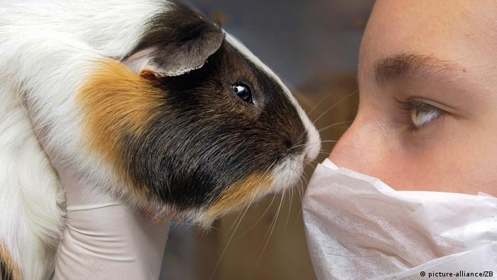 União Europeia proíbe venda de cosméticos testados em animais