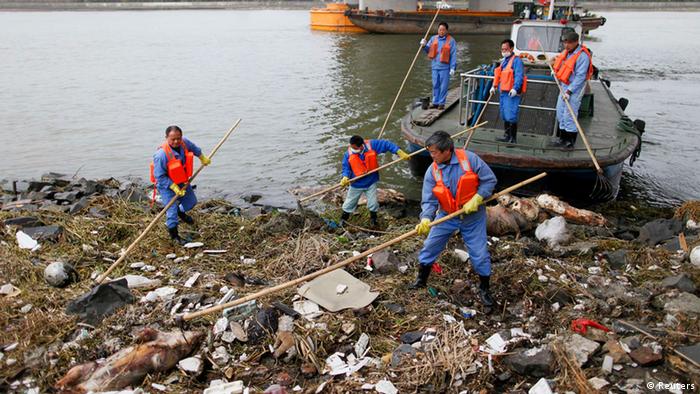 Cleaning workers retrieve the carcasses of pigs from a branch of Huangpu River in Shanghai, March 10, 2013. Over 2,200 pigs have been found dead in one of Shanghai's main water sources, official media reported on March 11, 2013, triggering a public outcry in China where concerns over food safety and environmental pollution run high. Picture taken March 10, 2013. REUTERS/Stringer (CHINA - Tags: ENVIRONMENT ANIMALS SOCIETY)
