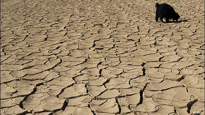 تا ‌سال ۲۰۵۰ میلادی، خشکسالی ایران ١١ برابر شرایط فعلی خواهد شد 