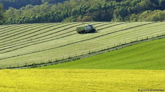 A farmer's tractor amid green fields
Photo: Ronald Wittek +++(c) dpa - Report+++
