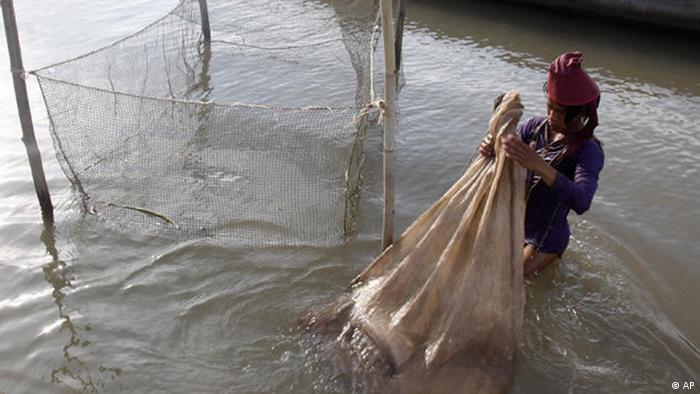 A Cambodian fisherman holds a bag loaded life fishes as his catches from the Mekong River at the out skirt of Phnom Penh, Cambodia, Tuesday, April 19, 2011
(Photo: AP Photo/Heng Sinith)
