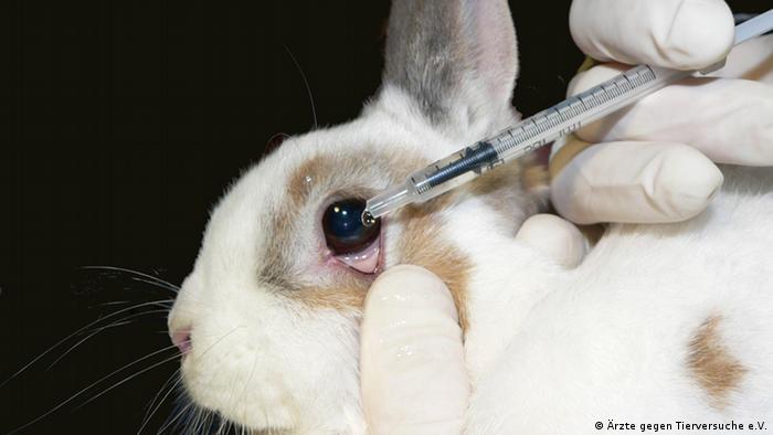 União Europeia bane cosméticos testados em animais