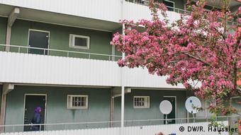A conventional multi-story apartment building with white guardrails is partially obscured by a blossoming cherry tree on the right-hand side of the frame.
(Photo: DW/Randi Häussler)