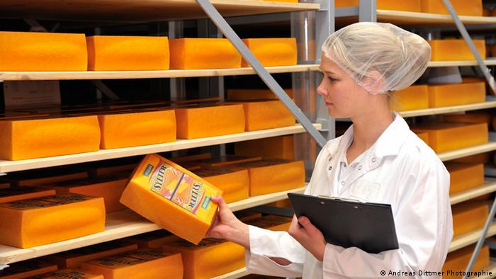 Control de calidad en la producción de quesos.
