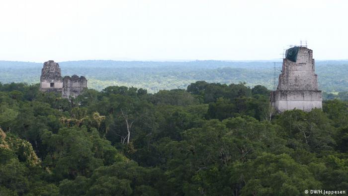 floresta da Reserva da Biosfera Maia, no norte da Guatemala