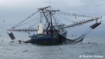 A fishing boat surrounded by birds
(Photo: Marion Hütter)