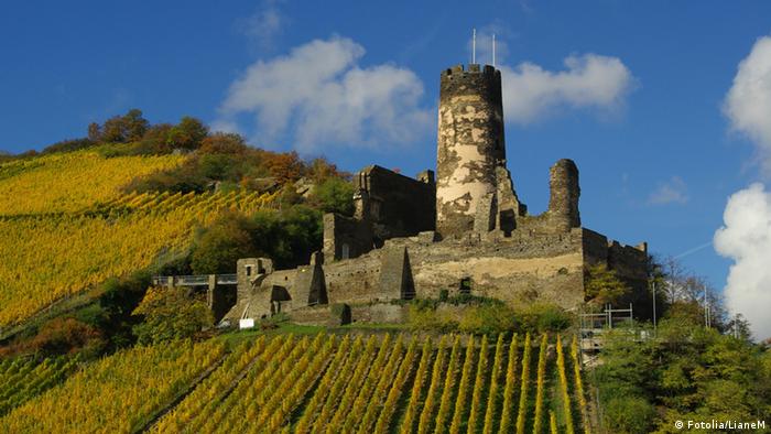 Руины замка Фюрстенберг - Burg Fürstenberg
