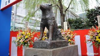 مجسمه هاچیکو در ژاپن 