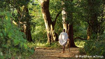 A man walks in the Zhara Church Forest in Ethiopia (Photo: http://www.pbase.com/mij99 / Matthew Jellings)