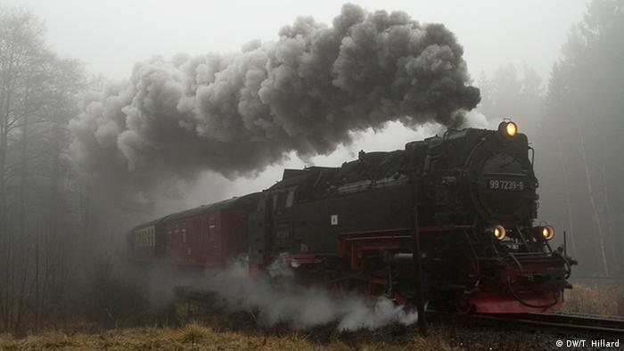 Steam engine through the Brocken portion of the Harz national park, Photo: DW / K. Sacks