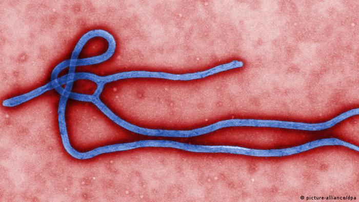 ¿Es el nuevo brote de ébola una plaga apocalíptica?#Seguimiento Ebola. 0,,17565491_303,00