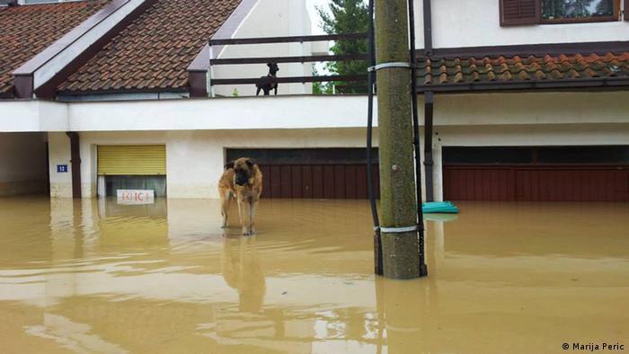 Hochwasser in Obrenovac