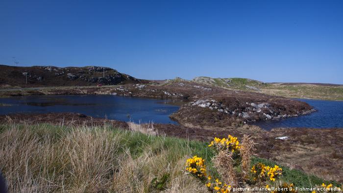 Die Küste der schottischen Hebriden ist grün und felsig (Foto: Picture-alliance/Robert Fishman ecomedia)
