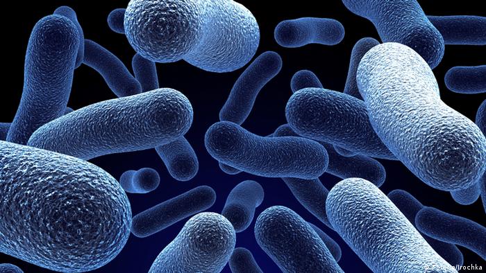 Closeup image of bacteria