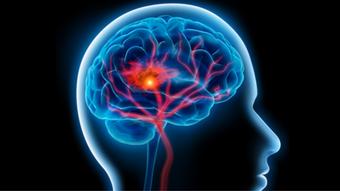 Το «σύστημα ανταμοιβής» του ανθρώπινου εγκεφάλου υπεύθυνο για πολλά συναισθήματα