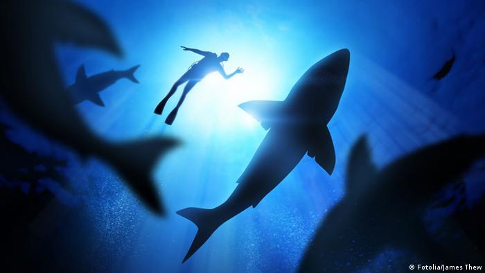 A diver at the top of the ocean, swimming with sharks below
