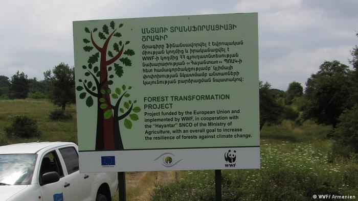 Informationstafel zum Wald in Nordarmenien