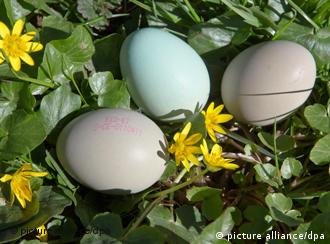Aμφιβολίες γεννούν οι ενδείξεις «bio» στα αυγά των γερμανικών σουπερμάρκετ